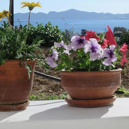 Holiday home Stone With Amazing View *