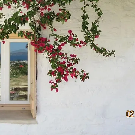 Holiday home Stone With Amazing View Angairia