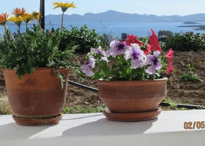 Tatil Evi Stone With Amazing View *