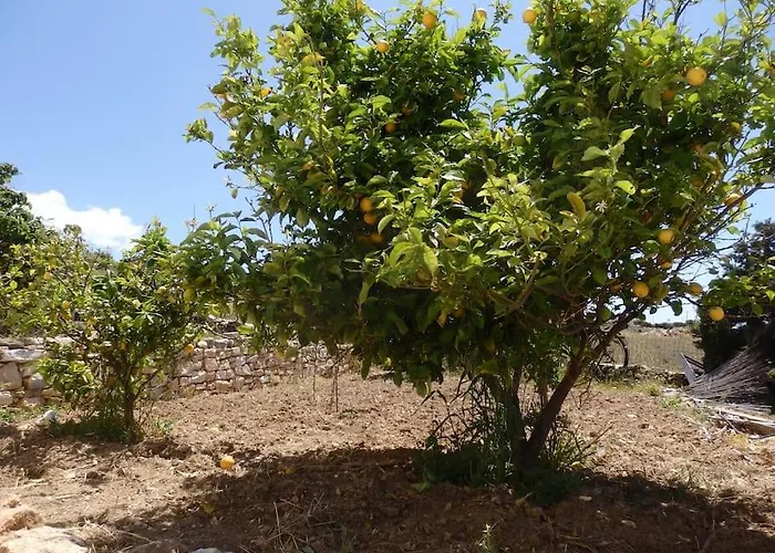 Stone With Amazing View