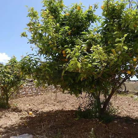 Stone With Amazing View